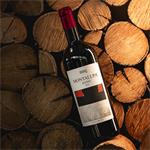 Motalupa Rosso 2021 | Cantine Ascheri